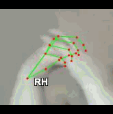 4eeec0885f41.gif