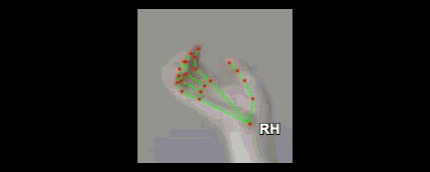 fa954d71ac6d.gif