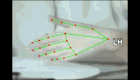 9c60e819cccc.gif