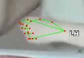 1fc05e4c085d.jpg