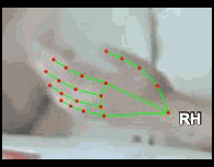 7331340a900c.gif