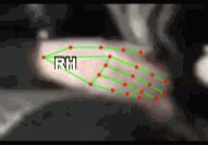 dd891776c223.gif