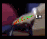 9a3853e70392.gif