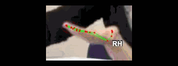 8f30bb623836.gif