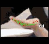 ee7f914fd83c.gif