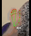 9cdfbb40e291.gif