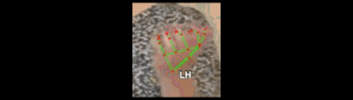 4c06e4710d71.gif