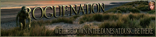 SeaApe Banner.jpg