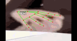 d929698b4998.gif