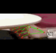 601448159642.gif
