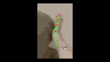 1fe5af23e180.gif