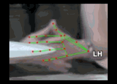8cee976f1e91.gif