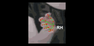 45818650c13a.gif