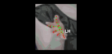4ecf8d823ef1.gif