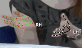 27954bcef8ca.gif