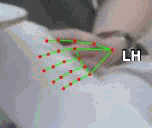 bd51ae9506a3.gif