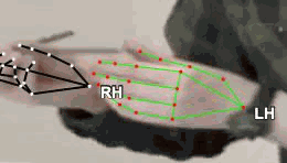 479e00d8e333.gif