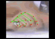 a343fc34d0b3.gif