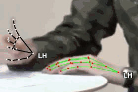 a50cb41d4e89.gif