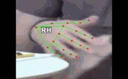 28317287774f.gif