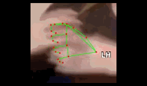 aedc0a483e8d.gif