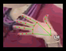 83a90d4d778a.gif