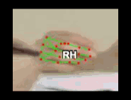 93165e3cad1c.gif