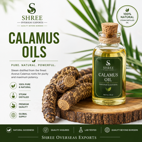 Pure Calamus Essential Oil Supplier Your Trusted Source for Premium Quality Calamus Oil.png