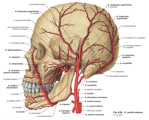 923d4772aa85.png