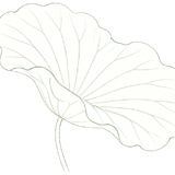 gpt荷花无字