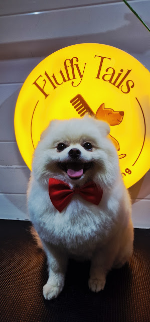 Best pet groomer Doha.jpg