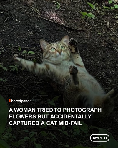 swipe to read.jpg