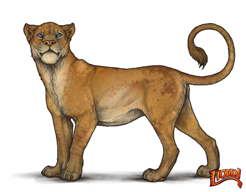 lioden wardrobe (2).png