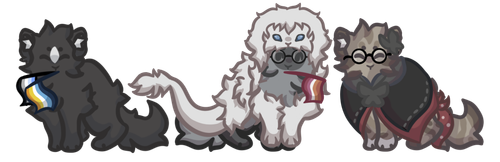 IMG 7896.png
