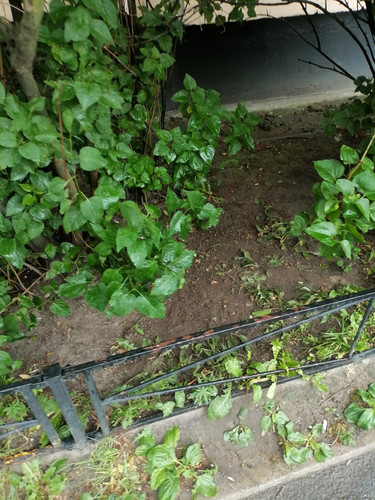 IMG 20260624 155726.jpg