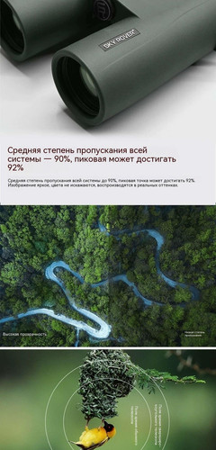 翻译后详情图0 4.jpg
