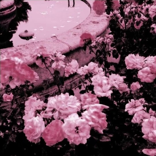 Screenshot 20260624 185539 com.xingin.xhs edit 102172322628158.jpg
