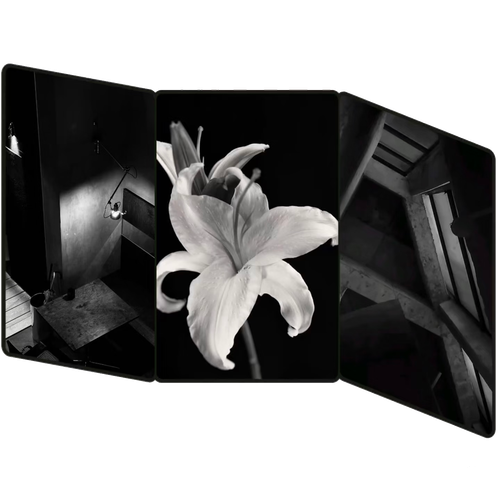 无标题48 20260623235612.png