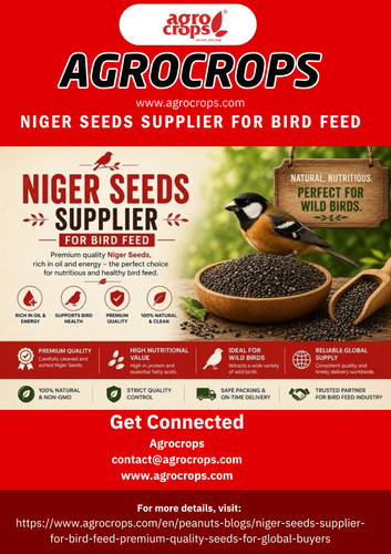 Niger Seeds Supplier For Bird Feed.jpg