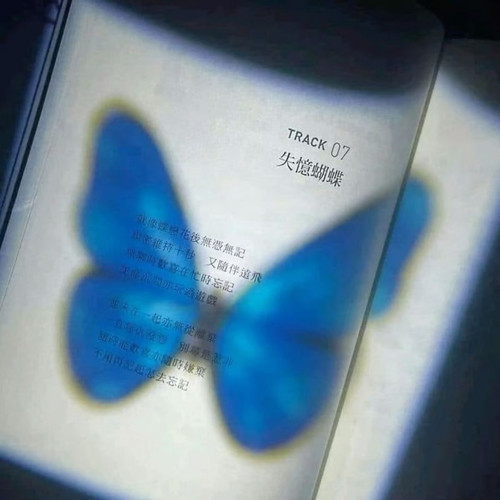 Screenshot 20260624 185727 com.xingin.xhs edit 102307429696367.jpg