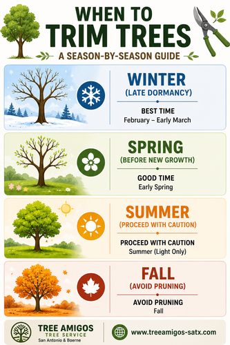 When to Trim Trees: A Season-by-Season Guide.png