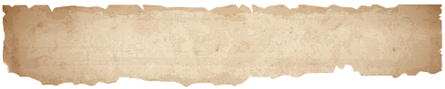 banner bg.png