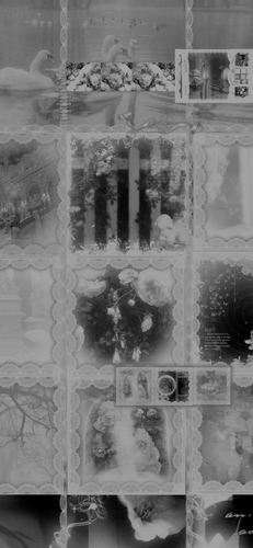 无标题706 20260601111423.png