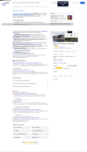 blob.png
