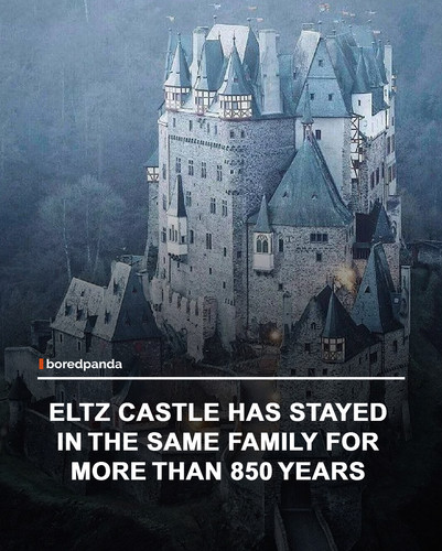 img facts (1).jpg
