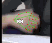 264eee55ad37.gif