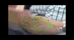 001c4ffd17dd.gif