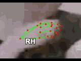 fadef2dcbf1e.gif