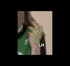 d3e48185d741.gif