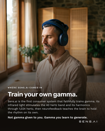 Gamma 3 — Sens.ai@2x.png